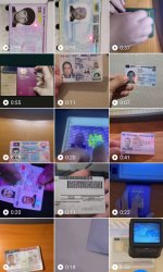 IMG_20251105_182019.jpg IMG_20251105_182019.jpg