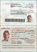 Iran passport 2014+.jpg