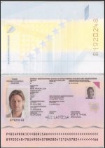 Bosnia and Herzegovina passport.jpg