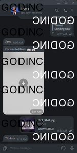 IMG_64265.png