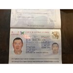311916272.jpg