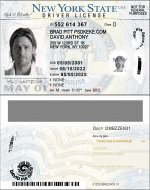 New York Driver License new vector quality.jpg