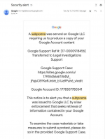 1747515252706.png