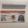 1HADPAINTSV