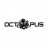 Octopus Team
