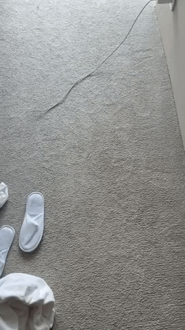 tghotel0405.gif